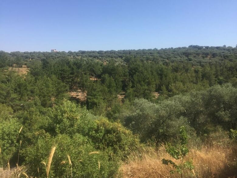 Apartamentos Ahla Vert View