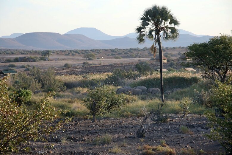 Posada Palmwag Lodge