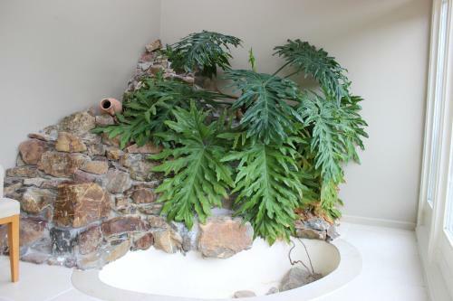 Den Bongaerd B&B And Wellness