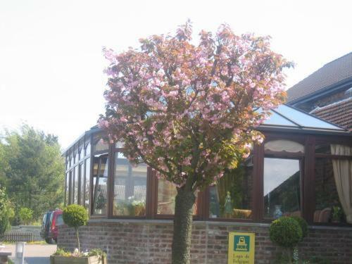 Hotel La Cr�maill�re