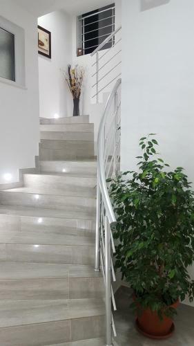 Apartment Mare Sole