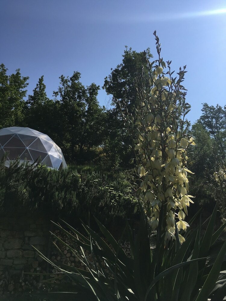 Gaia Spheres - Glamping
