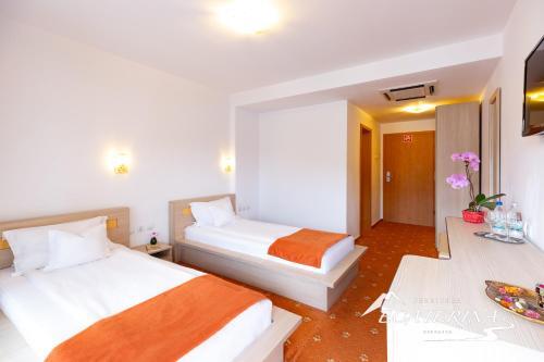 Hostal Pensiunea Ecaterina