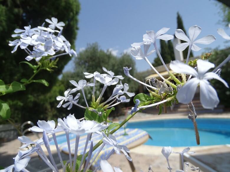 Bed & Breakfast Villa El Palomar de Granada