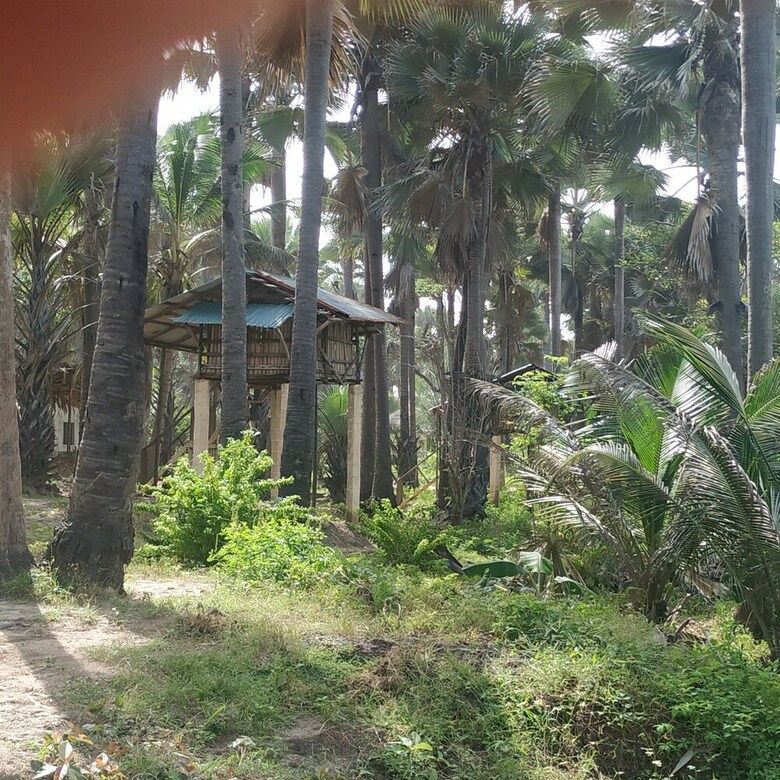 Posada Unspoiled South Gambia Paradise