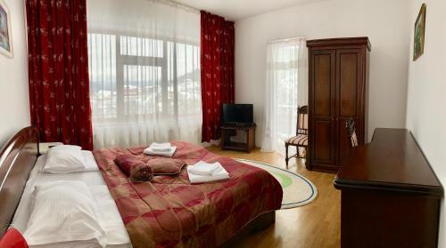 Hostal Pensiunea Smarandita