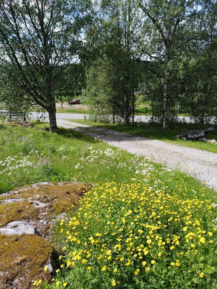 Hostal Gillhov   Camping And  B&B