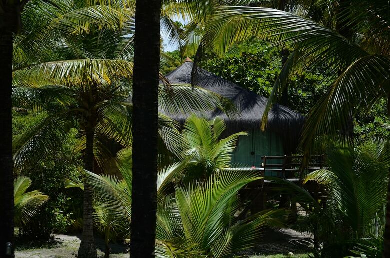 Hotel Aldeia Da Mata Eco Lodge