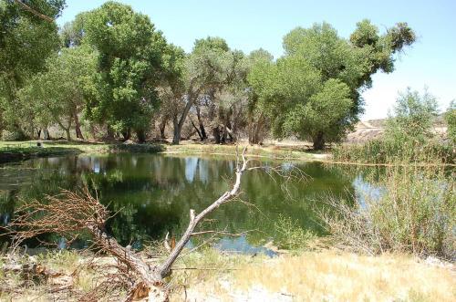 Soledad Canyon Cottage 6