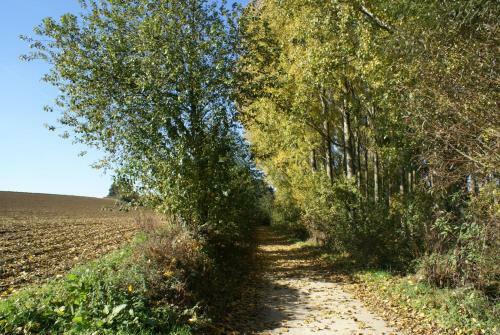 Vakantiewoning Buitenrijk
