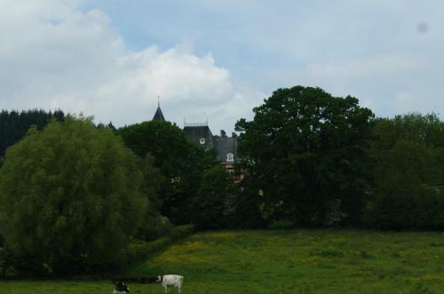 Hostal Chateau Neufays