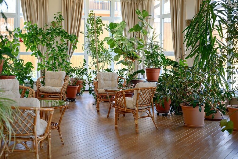 Hotel Villa Muse