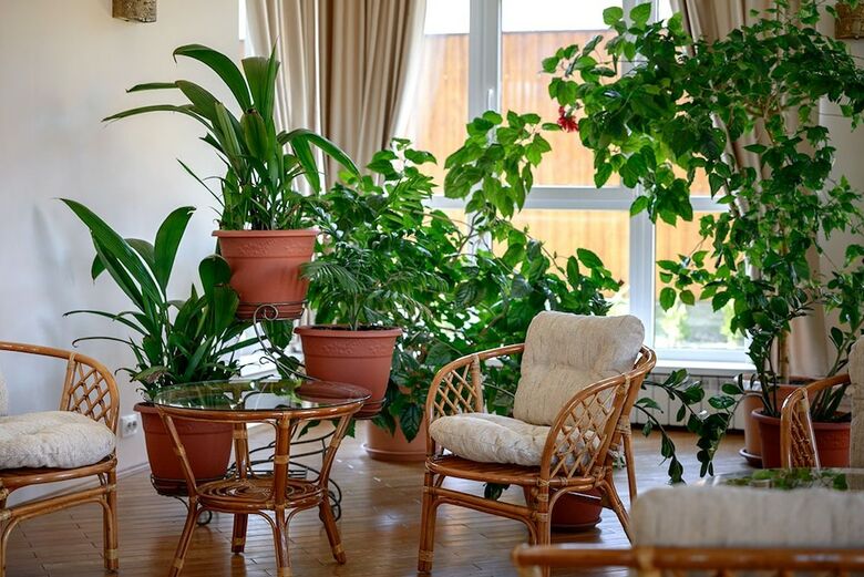 Hotel Villa Muse