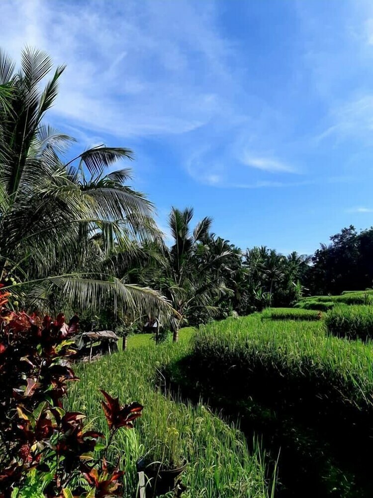 Bed & Breakfast Puri Raya Villa Ubud