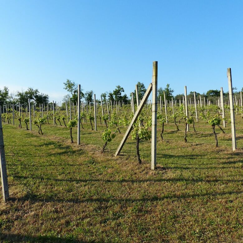Agroturismo Arriga Alta