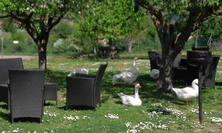 Agroturismo Agriturismo Ca' Sorci