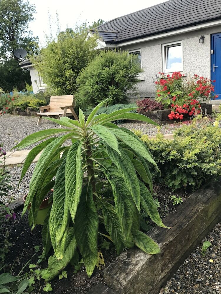 Kilcloon Holiday Cottages