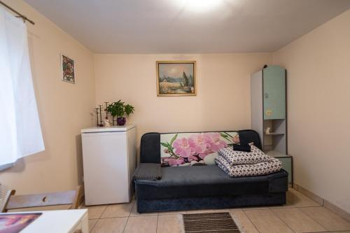 Hostal Pokoje Go?cinne Le?ny Zak?tek
