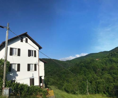 Hotel Albergo Delfino