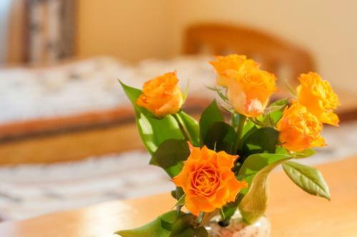Hostal Willa Arabeska