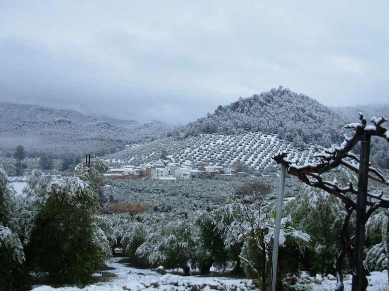 Casa Rural La Tin�