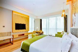 Hotel Holiday Inn Changsha Dawangshan