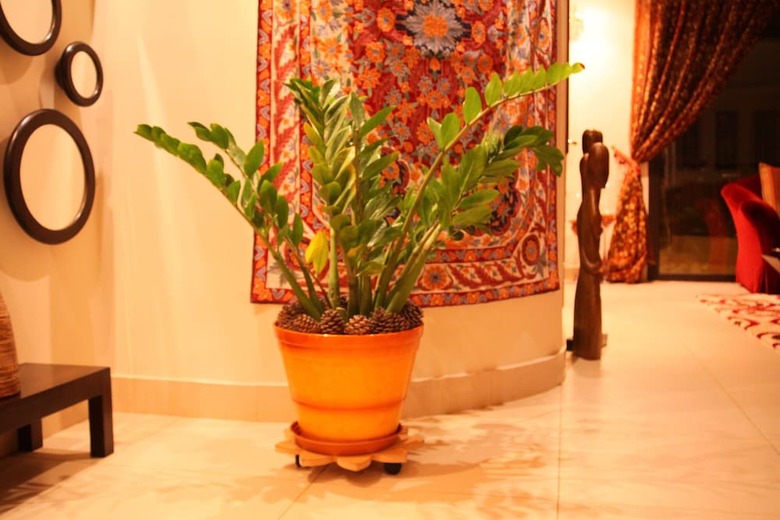 Apartamento Green Hill Village