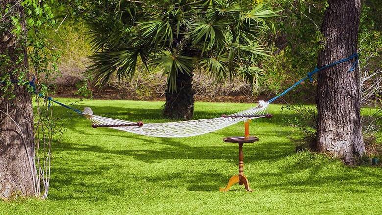 Hotel Dhardo Retreat & Resort