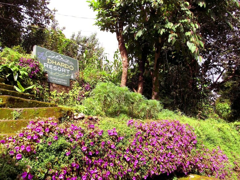 Hotel Dhardo Retreat & Resort