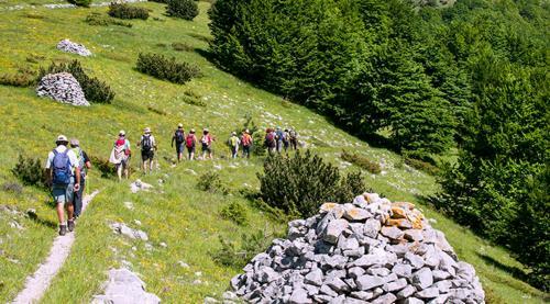 Bed & Breakfast Dolce Risveglio