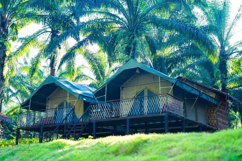 Hotel Khaosok Ecolodge