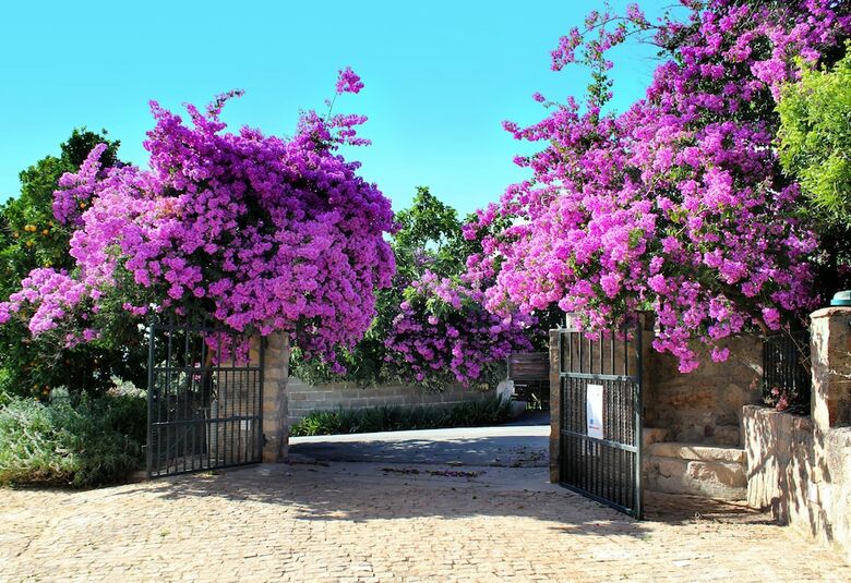Agroturismo Aromas Dos Salgueiros