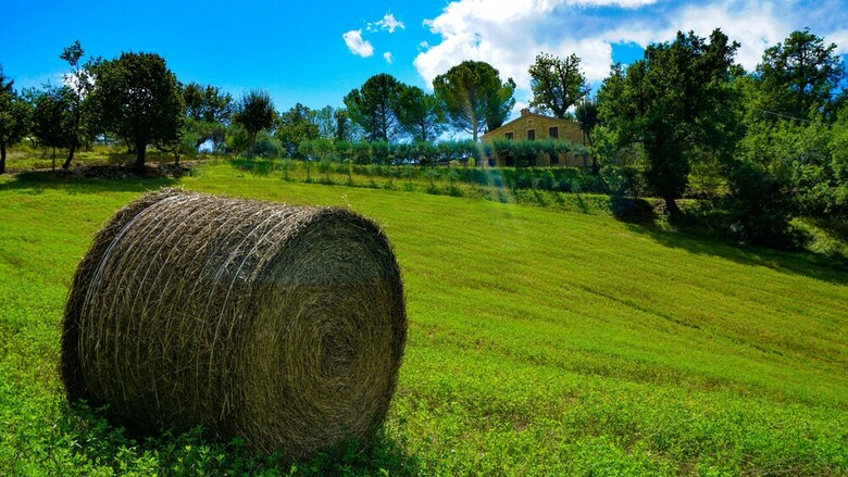 Agroturismo Agriturismo Pascucci