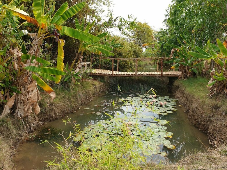 Hotel Mint Bodhivann Jungle Retreat