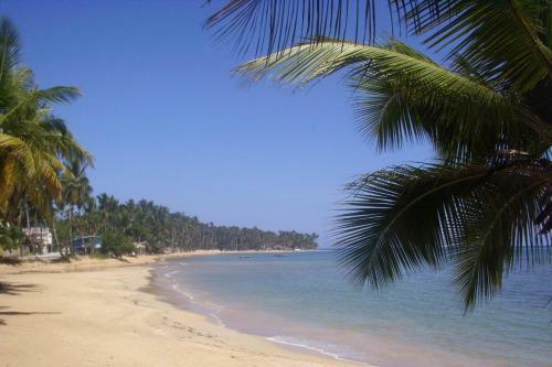 Apartamento En Las Terrenas