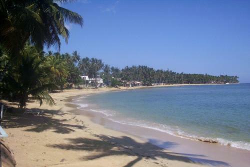 Apartamento En Las Terrenas