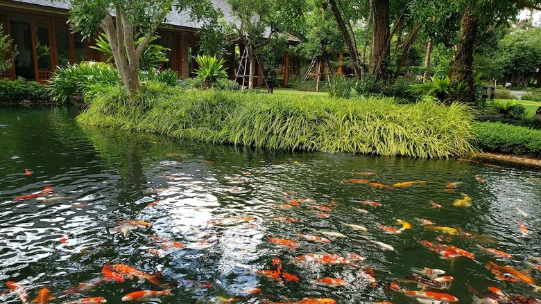 Hotel Chayana Resort
