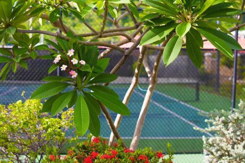 Hotel Coyaba Beach Resort