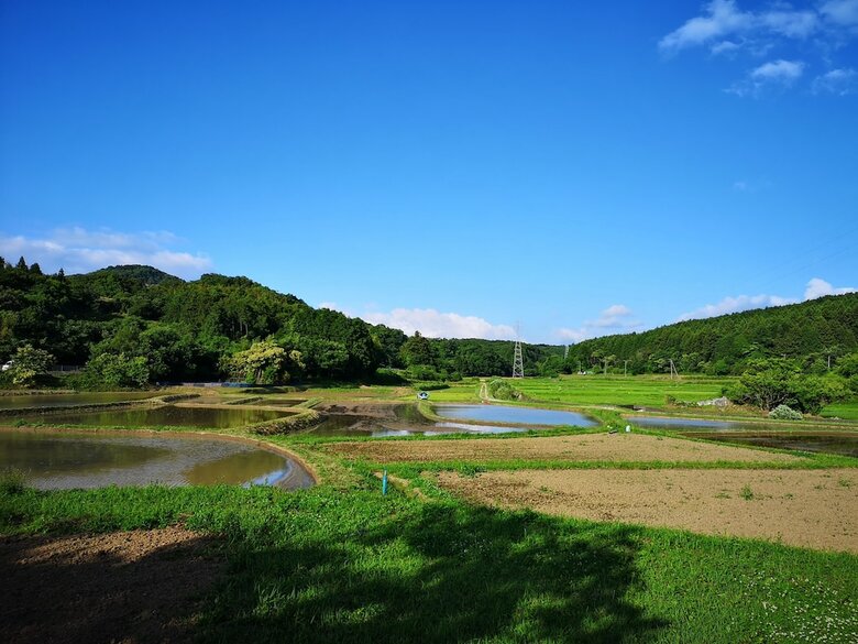 Hostal Guesthouse Himawari - Hostel