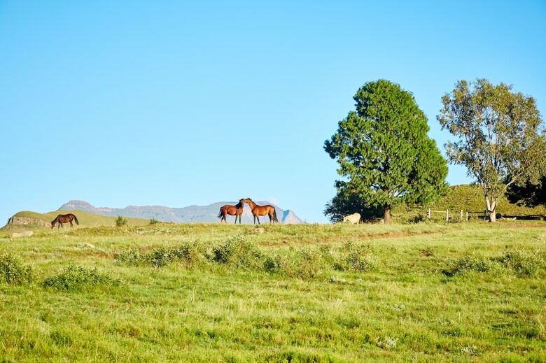 Hotel First Group Bushman's Nek