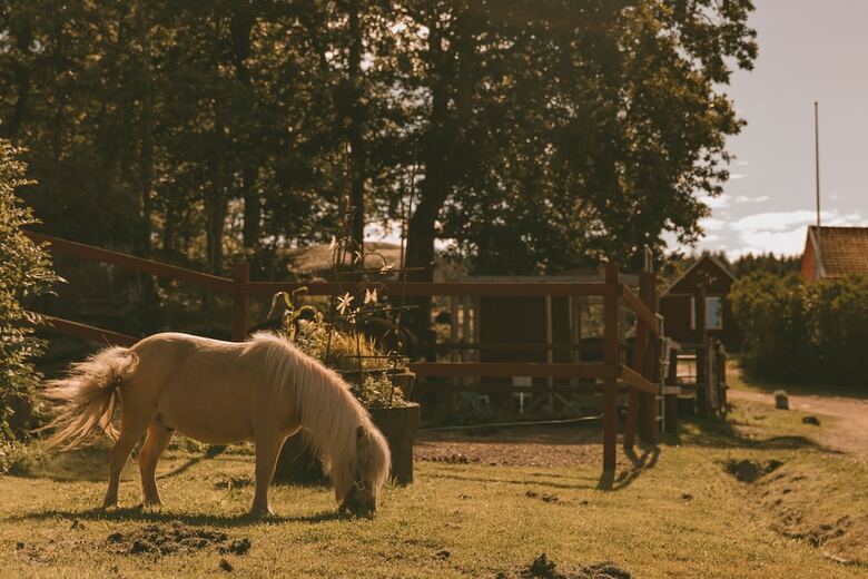 Bed & Breakfast Farmlodge