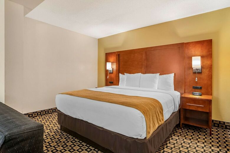 Hotel Comfort Inn And Suites Athens