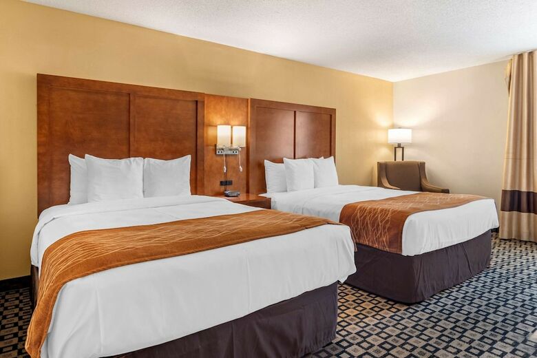 Hotel Comfort Inn And Suites Athens