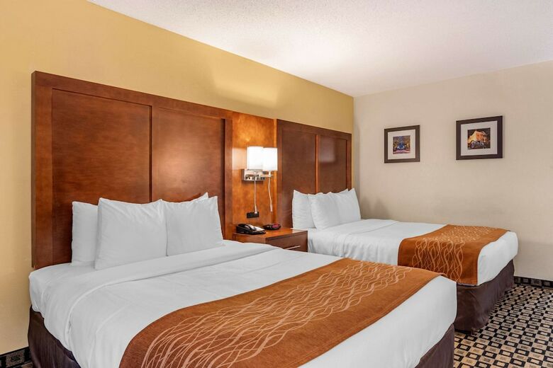 Hotel Comfort Inn And Suites Athens