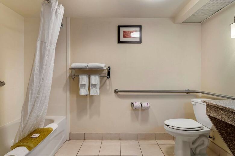 Hotel Comfort Inn And Suites Athens
