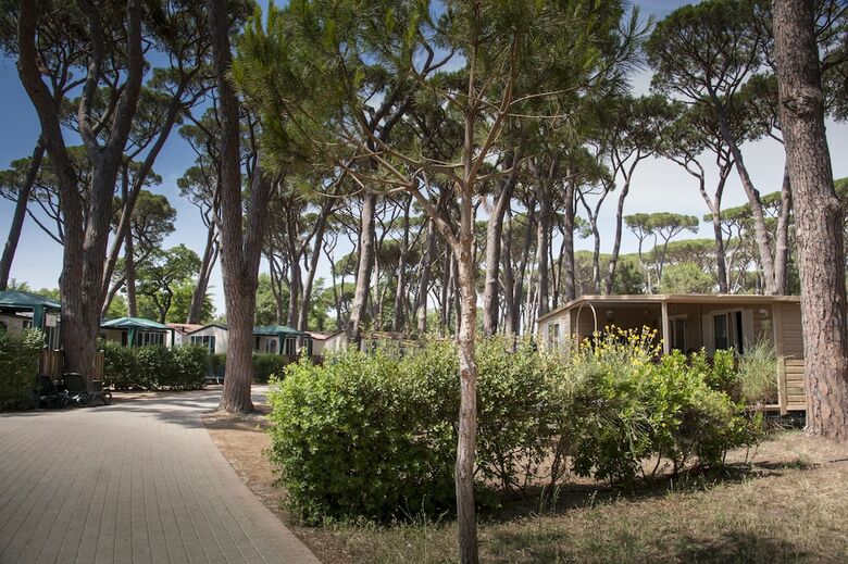 Park Albatros Village