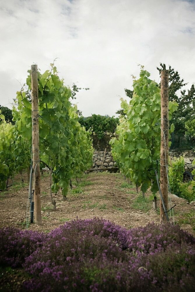 Vald'ar�gos Douro Turismo Rural
