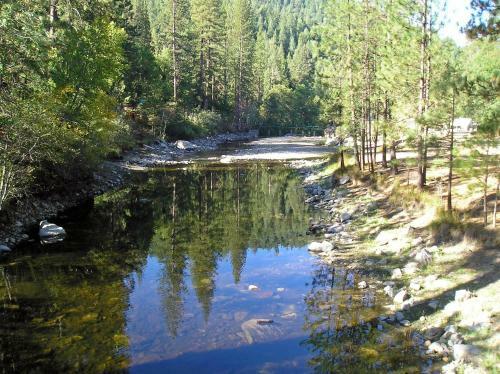 Yosemite Lakes Bunkhouse Cabin 34