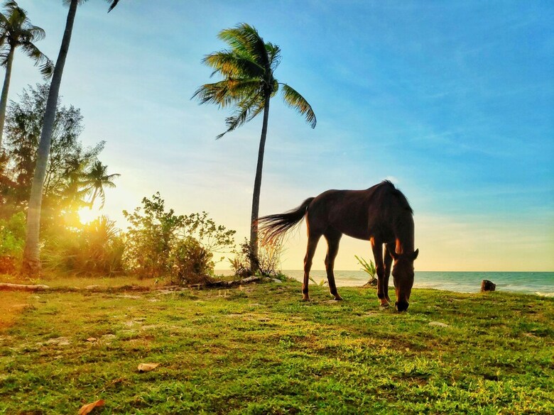 Hotel Earth Park Resorts
