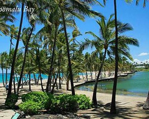 Waikoloa Beach Villas P32